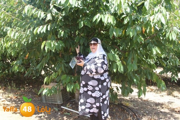 bayareq re7la shamal 0612 (58).JPG